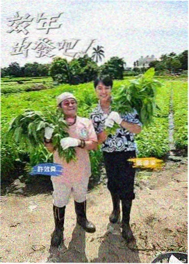 欧美综艺 深夜脱口秀精选